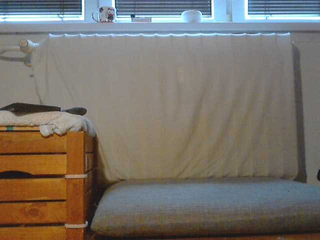 Live sex webcam photo for Biyatch #269454820