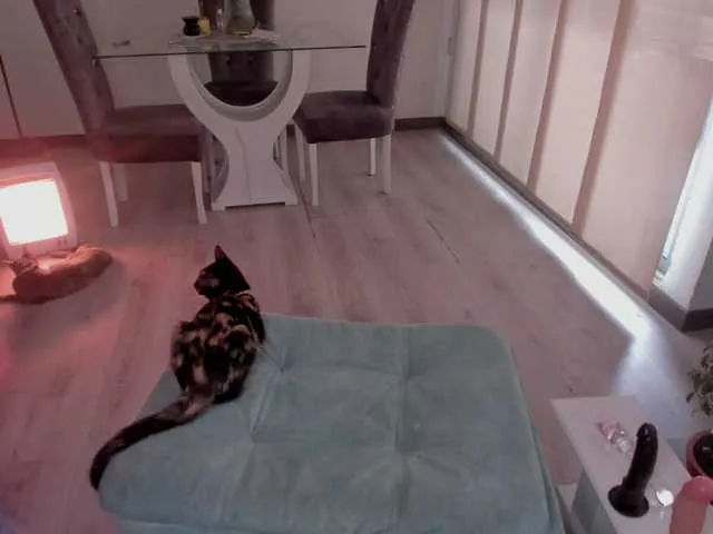 Live sex webcam photo for reiven-brown #269465278