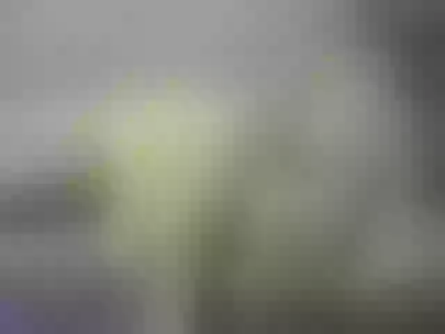 Live sex webcam photo for Misskristina #269464428