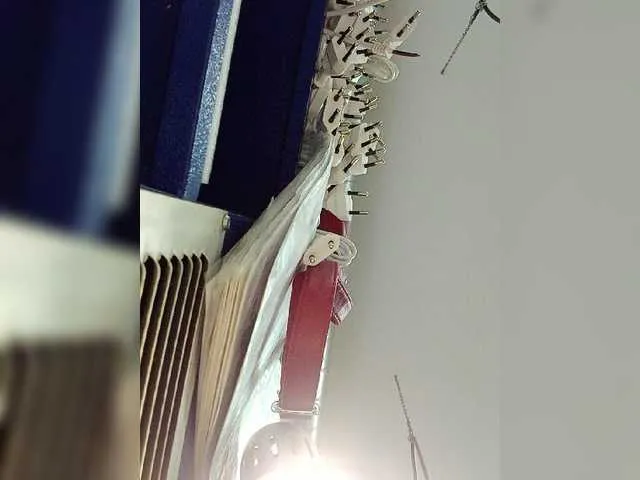 Live sex webcam photo for Anesteishen #269454895