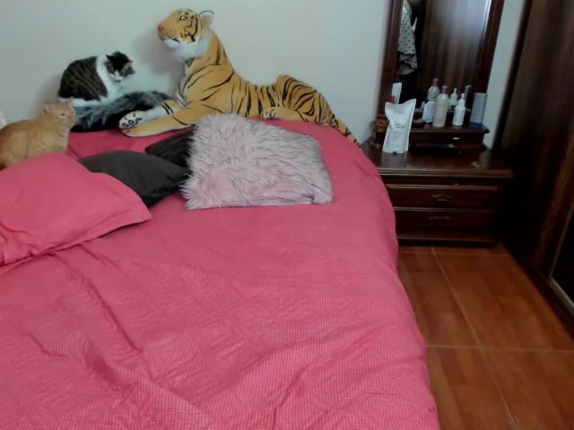 Live sex webcam photo for NeighborMilff #269468960