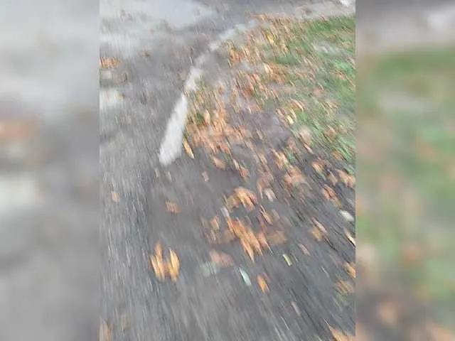 Live sex webcam photo for Zarevna #269474959