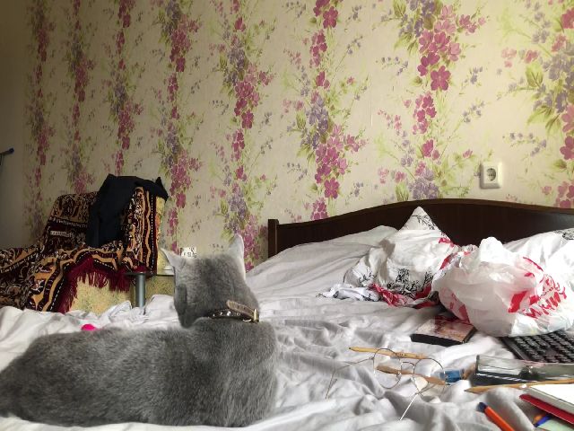 Live sex webcam photo for Poison__Rozi #269476616