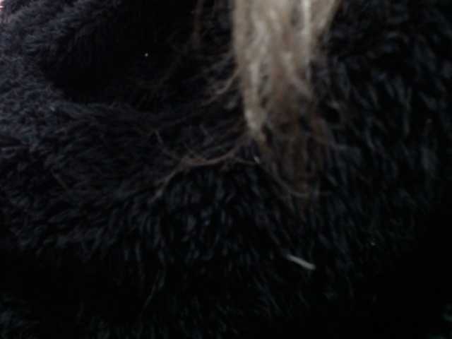 Live sex webcam photo for Tamarasex1 #269496229