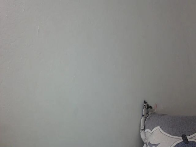 Live sex webcam photo for Taniasweethot #269495180