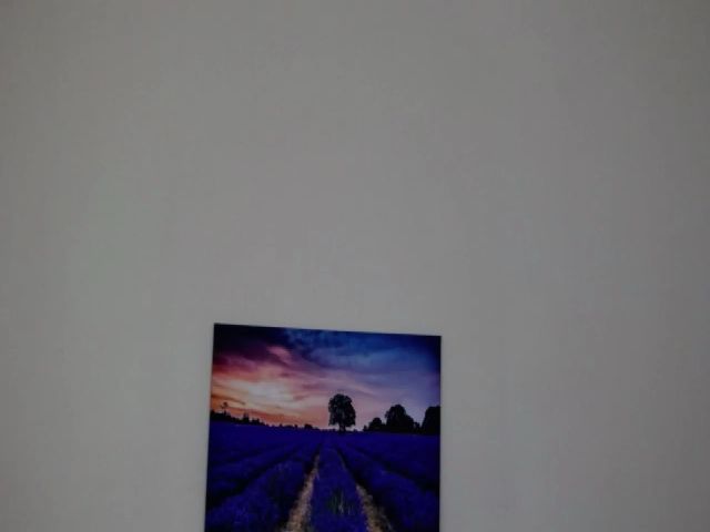 Live sex webcam photo for XXAlanaXX #269501903