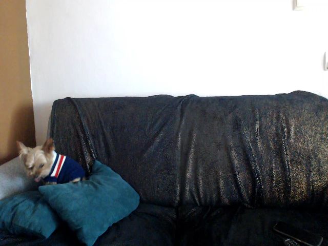 Live sex webcam photo for Stephycute #269501416