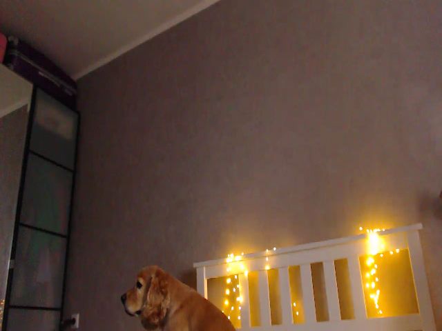 Live sex webcam photo for GuiltyBird #269497938