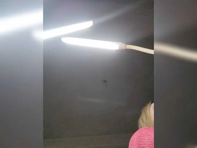 Live sex webcam photo for CatSeeYeah #269491772