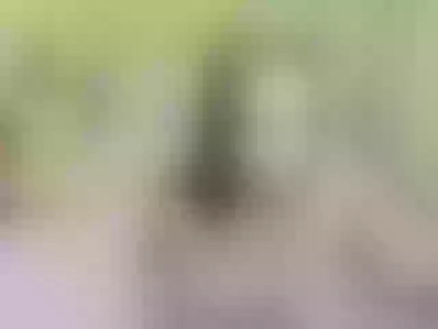 Live sex webcam photo for SwweetAngel #269512554