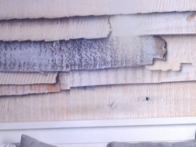 Live sex webcam photo for InnaHottyX #269541273