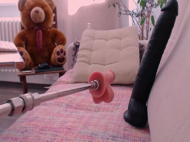 Live sex webcam photo for WildredheadCZ #269541368