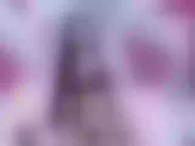 Live sex webcam photo for miaortix #269548043
