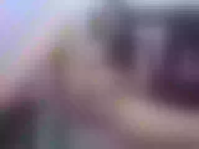 Live sex webcam photo for WildElastic #269568138
