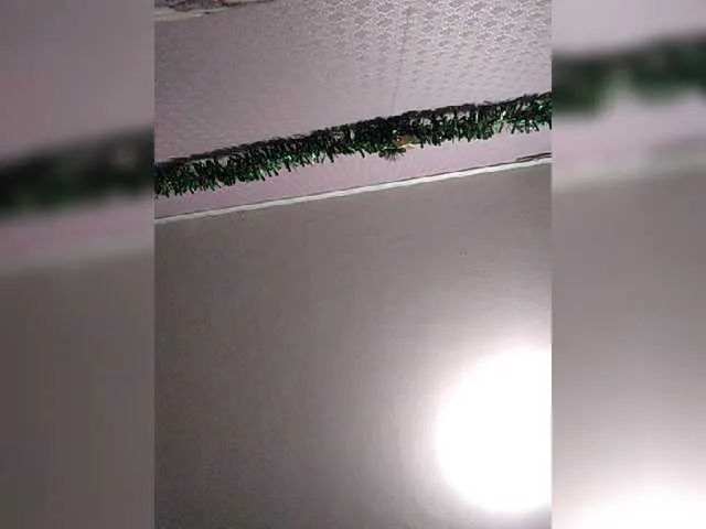 Live sex webcam photo for Zarevna #269572644