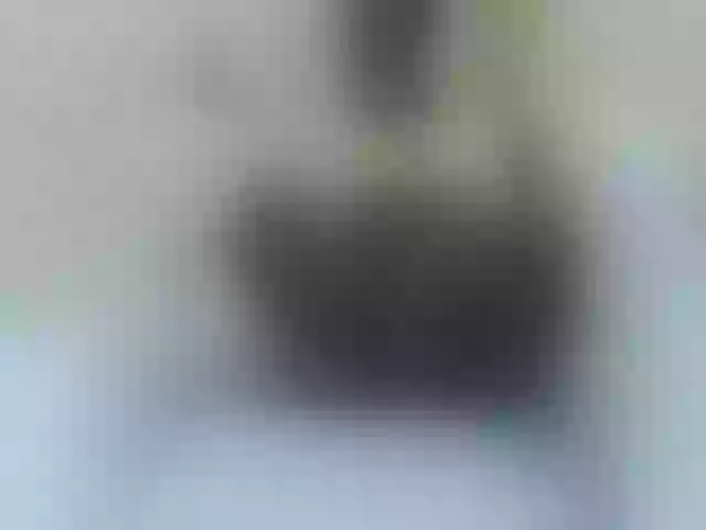 Live sex webcam photo for Blossomflower #269578518