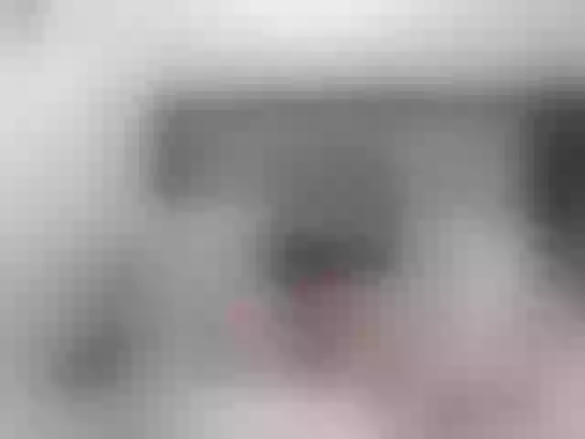 Live sex webcam photo for Liligold2 #269573367