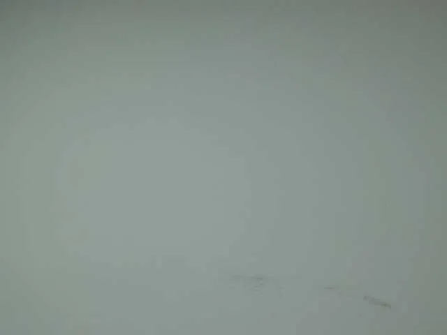 Live sex webcam photo for Ashleylam #269577651