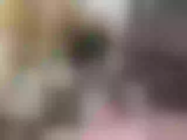 Live sex webcam photo for TastyBeby #269592564