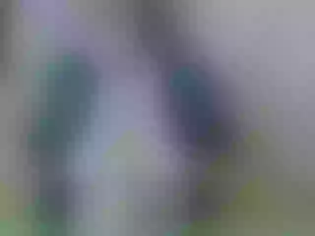 Live sex webcam photo for pussyboom11 #269606727
