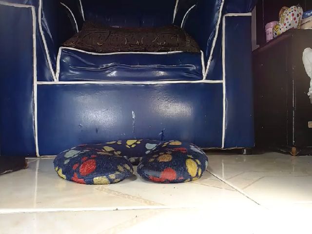 Live sex webcam photo for Alexia_Bonet #269629285