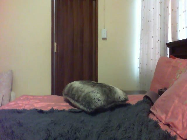 Live sex webcam photo for Booby69x #269616325