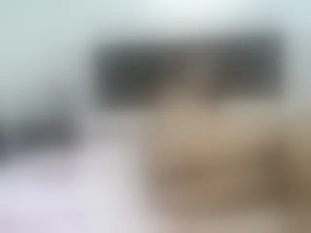 Live sex webcam photo for belaqueen69 #269642276