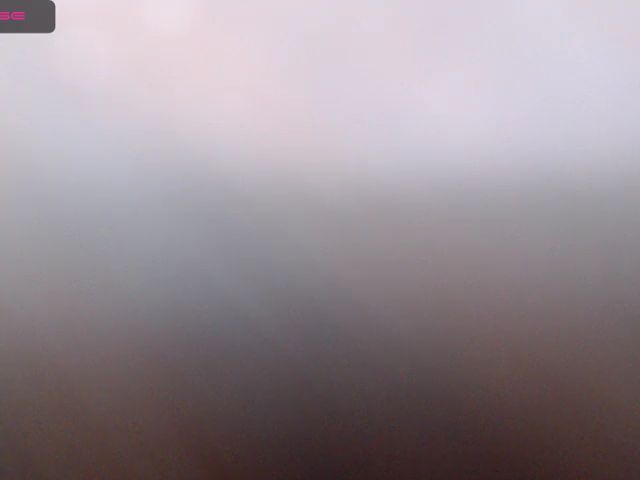 Live sex webcam photo for CatalinaGiral #269656950