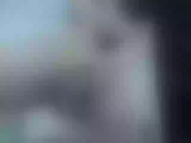 Live sex webcam photo for Paulett #269678555