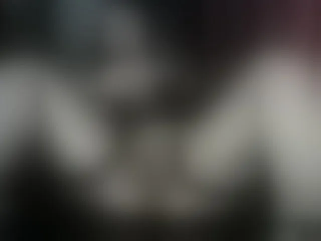 Live sex webcam photo for LilithDemon66 #269663450