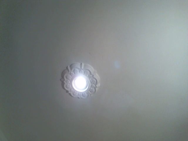 Live sex webcam photo for Sofiahenao #269683043