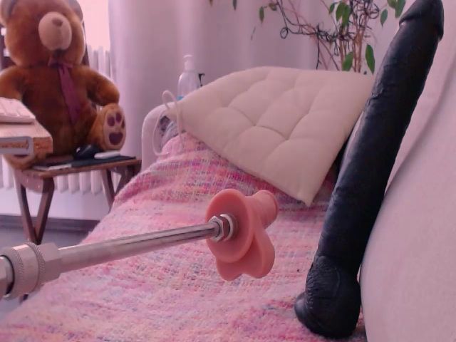 Live sex webcam photo for WildredheadCZ #269674274