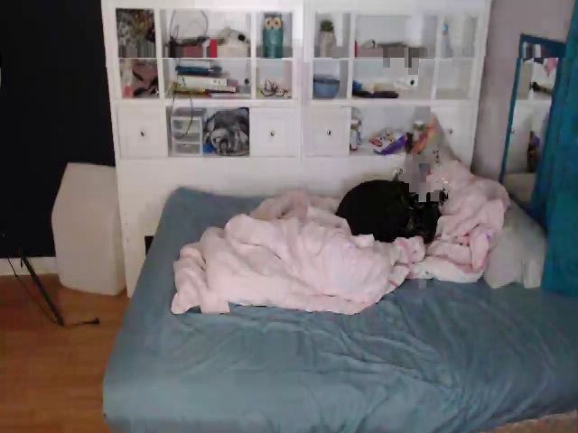 Live sex webcam photo for SweetNSouthrn #269672128