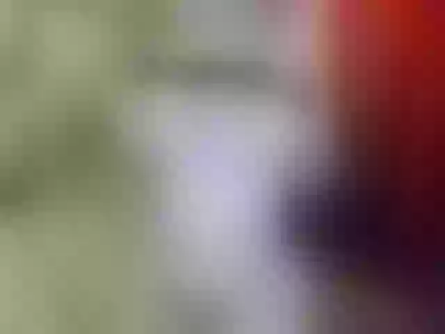 Live sex webcam photo for -Daiquiri- #269672846
