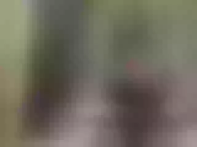 Live sex webcam photo for Ailyn-Smith #269673360