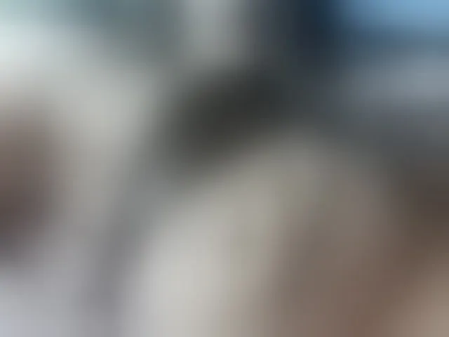 Live sex webcam photo for MollyRick #269684565
