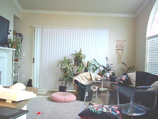 Live sex webcam photo for Josieeberg #269695617