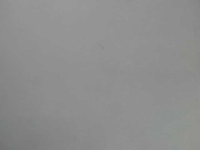 Live sex webcam photo for SophiaThomson #269706030