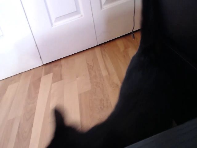 Live sex webcam photo for abustybabe #269722072