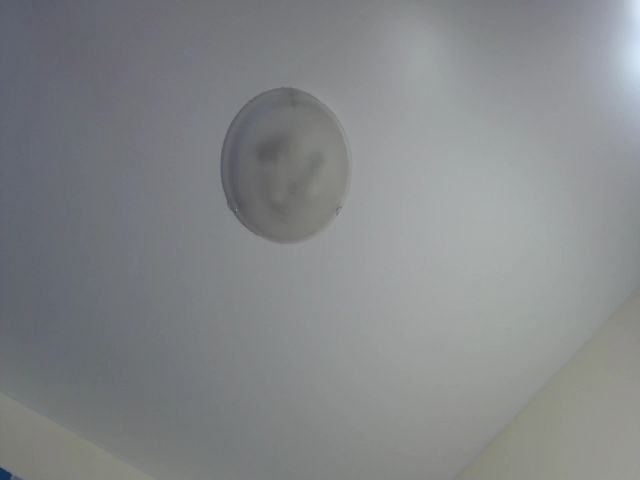 Live sex webcam photo for RubyWalsher #269734310