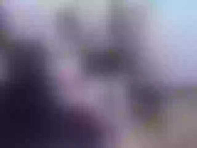 Live sex webcam photo for chanel-n-smit #269725419