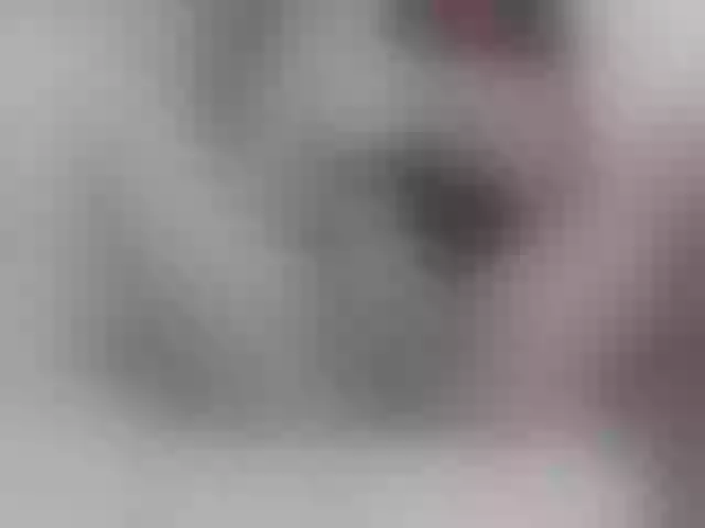 Live sex webcam photo for Alida-2 #269962639