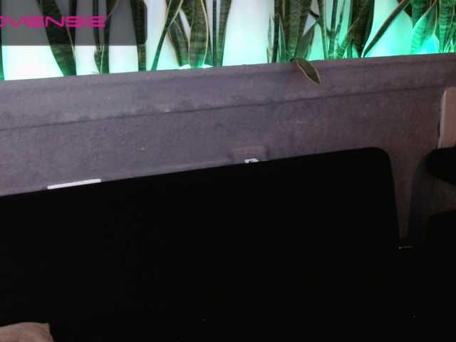 Live sex webcam photo for jamaicaawolf #269905481