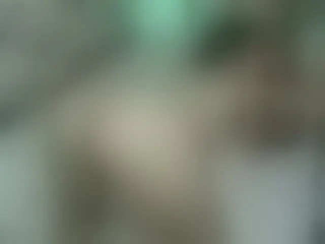 Live sex webcam photo for sweet-san4 #269904092