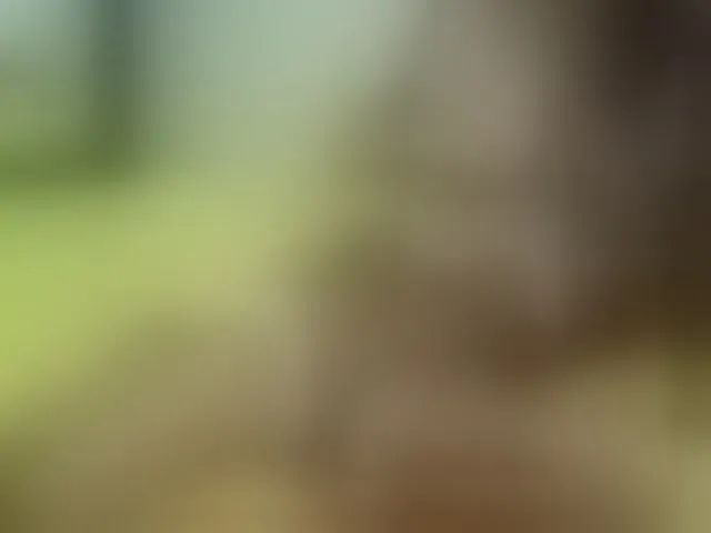 Live sex webcam photo for rebeccafsmith #269825873