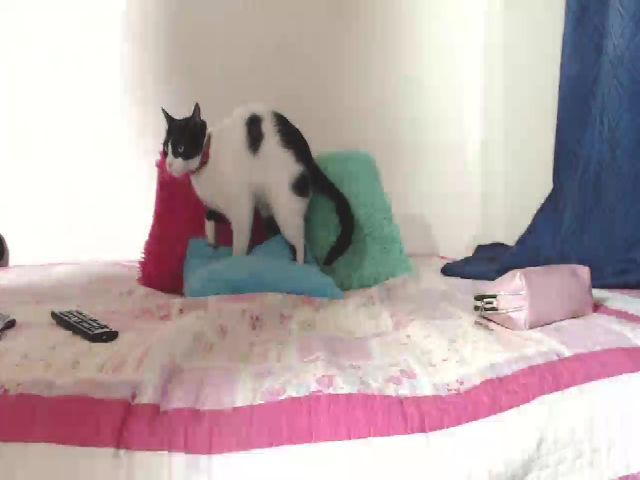 Live sex webcam photo for Rousse_ellise #269843570