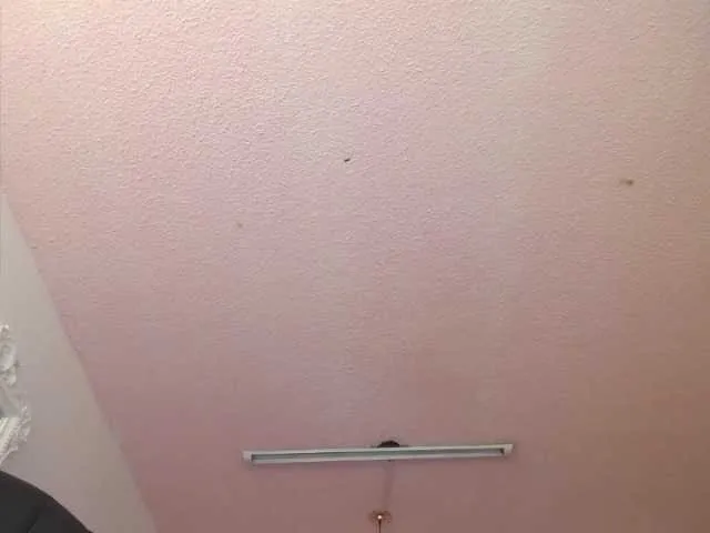 Live sex webcam photo for Indra-hot #270164736
