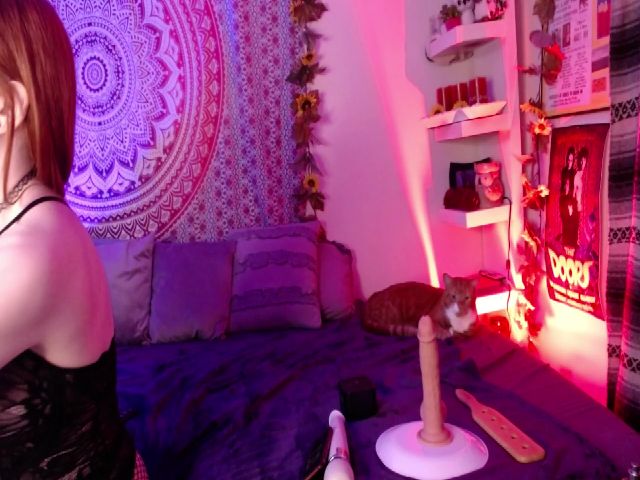 Live sex webcam photo for Missdankkitty #270183699