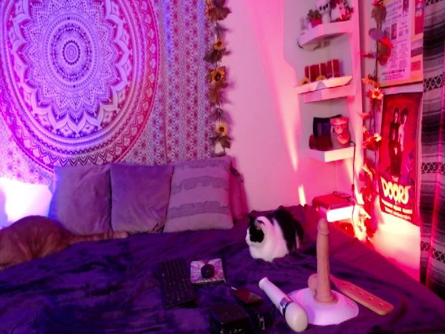 Live sex webcam photo for Missdankkitty #270201248