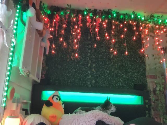 Live sex webcam photo for MsGrumpyCunt #270306800